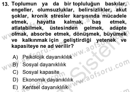 Sürdürülebilir Kentsel Dayanıklılık Dersi 2024 - 2025 Yılı Yaz Okulu Sınav Soruları 13. Soru