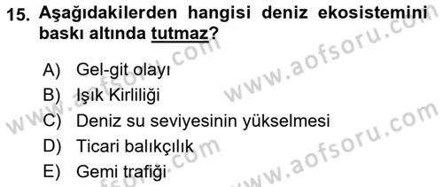 Sürdürülebilir Kentsel Dayanıklılık Dersi 2024 - 2025 Yılı Yaz Okulu Sınav Soruları 15. Soru