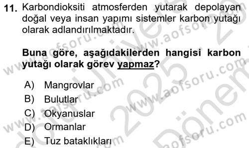 Sürdürülebilir Kentsel Dayanıklılık Dersi 2025 - 2026 Yılı (Final) Dönem Sonu Sınav Soruları 11. Soru