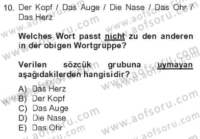 Almanca 1 Dersi 2012 - 2013 Yılı Tek Ders Sınav Soruları 10. Soru