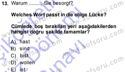 Almanca 1 Dersi 2013 - 2014 Yılı (Final) Dönem Sonu Sınav Soruları 13. Soru
