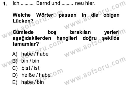 Almanca 1 Dersi 2014 - 2015 Yılı Tek Ders Sınavı 1. Soru