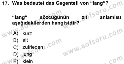 Almanca 1 Dersi 2015 - 2016 Yılı (Vize) Ara Sınav Soruları 17. Soru