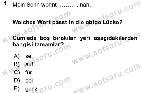 Almanca 1 Dersi 2015 - 2016 Yılı (Final) Dönem Sonu Sınav Soruları 1. Soru