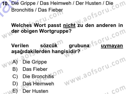 Almanca 1 Dersi 2015 - 2016 Yılı (Final) Dönem Sonu Sınav Soruları 10. Soru