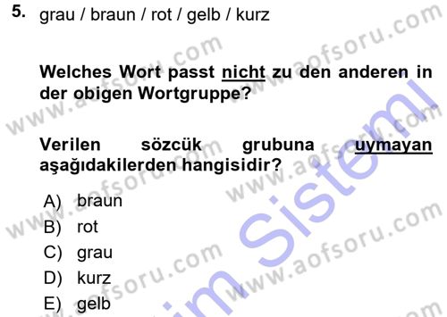 Almanca 1 Dersi 2015 - 2016 Yılı (Final) Dönem Sonu Sınav Soruları 5. Soru