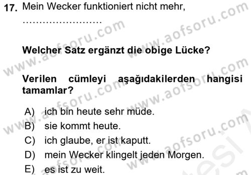 Almanca 1 Dersi 2015 - 2016 Yılı Tek Ders Sınav Soruları 17. Soru