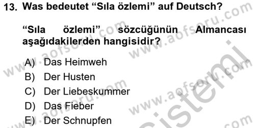 Almanca 1 Dersi 2016 - 2017 Yılı 3 Ders Sınav Soruları 13. Soru