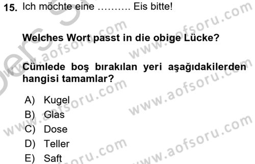 Almanca 1 Dersi 2016 - 2017 Yılı 3 Ders Sınav Soruları 15. Soru
