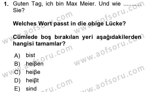 Almanca 1 Dersi 2016 - 2017 Yılı (Vize) Ara Sınav Soruları 1. Soru