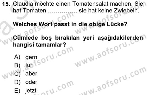 Almanca 1 Dersi 2016 - 2017 Yılı (Vize) Ara Sınav Soruları 15. Soru