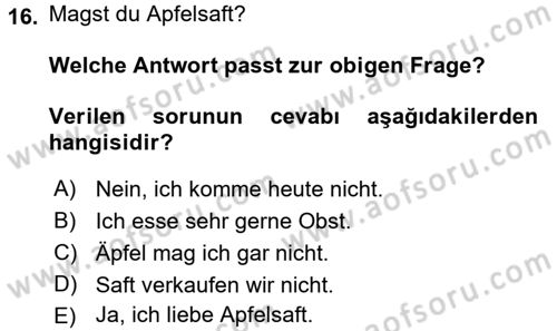 Almanca 1 Dersi 2016 - 2017 Yılı (Vize) Ara Sınav Soruları 16. Soru
