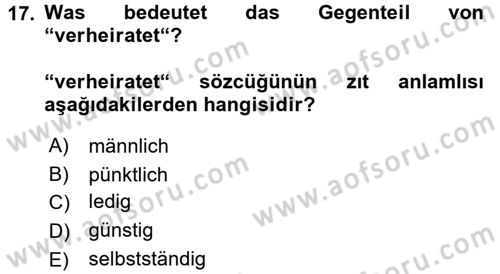 Almanca 1 Dersi 2016 - 2017 Yılı (Vize) Ara Sınav Soruları 17. Soru