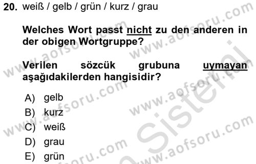 Almanca 1 Dersi 2016 - 2017 Yılı (Vize) Ara Sınav Soruları 20. Soru