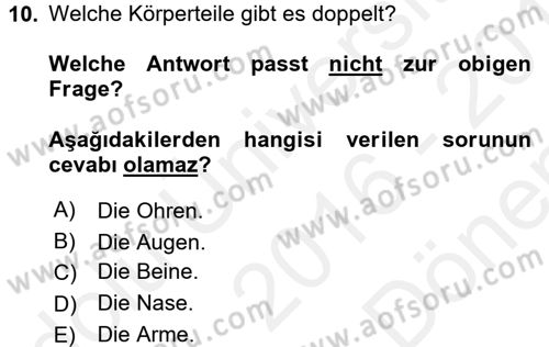Almanca 1 Dersi 2016 - 2017 Yılı (Final) Dönem Sonu Sınav Soruları 10. Soru