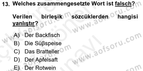 Almanca 1 Dersi 2016 - 2017 Yılı (Final) Dönem Sonu Sınav Soruları 13. Soru