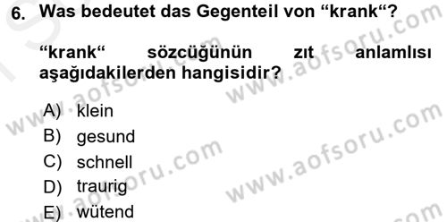 Almanca 1 Dersi 2016 - 2017 Yılı (Final) Dönem Sonu Sınav Soruları 6. Soru