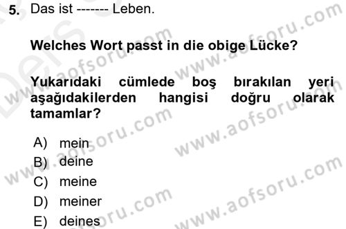 Almanca 1 Dersi 2017 - 2018 Yılı 3 Ders Sınav Soruları 5. Soru