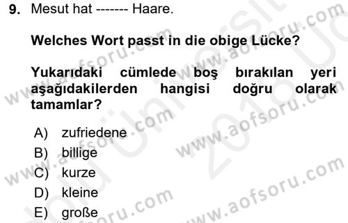 Almanca 1 Dersi 2017 - 2018 Yılı 3 Ders Sınav Soruları 9. Soru