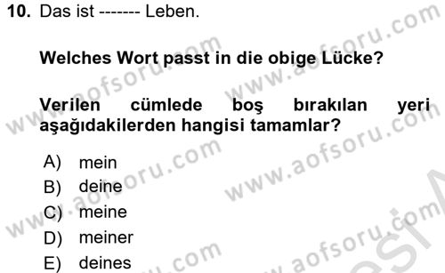 Almanca 1 Dersi 2017 - 2018 Yılı (Vize) Ara Sınav Soruları 10. Soru