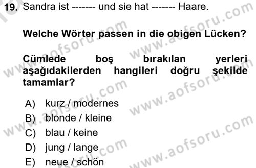 Almanca 1 Dersi 2017 - 2018 Yılı (Vize) Ara Sınav Soruları 19. Soru