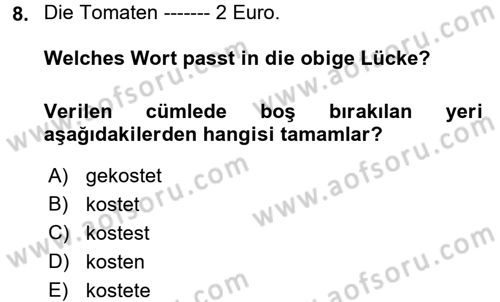 Almanca 1 Dersi 2017 - 2018 Yılı (Final) Dönem Sonu Sınav Soruları 8. Soru