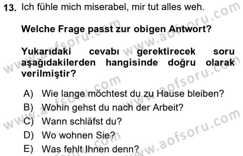 Almanca 1 Dersi 2018 - 2019 Yılı (Final) Dönem Sonu Sınav Soruları 13. Soru