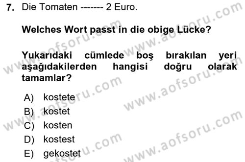 Almanca 1 Dersi 2018 - 2019 Yılı (Final) Dönem Sonu Sınav Soruları 7. Soru