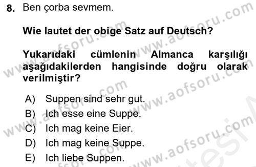 Almanca 1 Dersi 2018 - 2019 Yılı (Final) Dönem Sonu Sınav Soruları 8. Soru