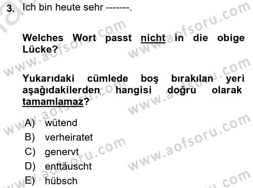 Almanca 1 Dersi 2021 - 2022 Yılı (Final) Dönem Sonu Sınav Soruları 3. Soru