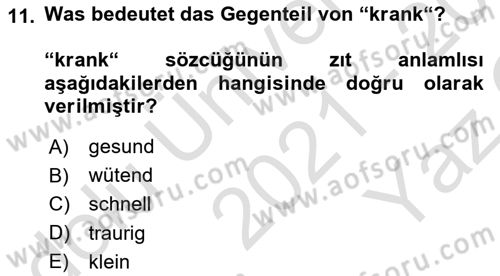 Almanca 1 Dersi 2021 - 2022 Yılı Yaz Okulu Sınav Soruları 11. Soru