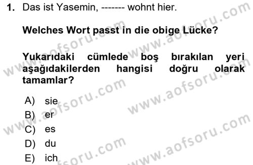 Almanca 1 Dersi 2022 - 2023 Yılı (Final) Dönem Sonu Sınav Soruları 1. Soru