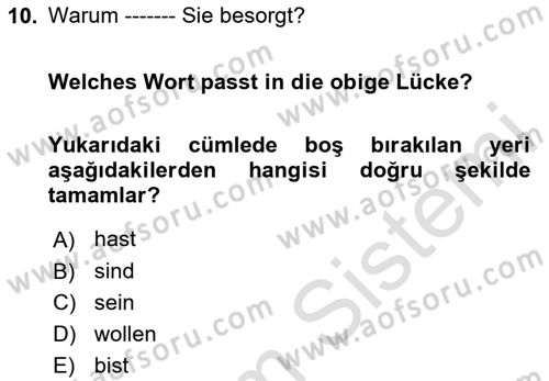 Almanca 1 Dersi 2023 - 2024 Yılı Yaz Okulu Sınav Soruları 10. Soru