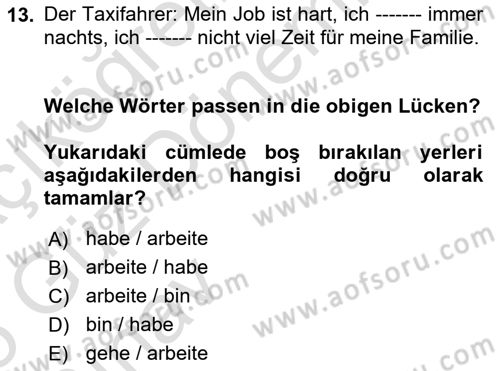 Almanca 1 Dersi 2024 - 2025 Yılı (Vize) Ara Sınav Soruları 13. Soru