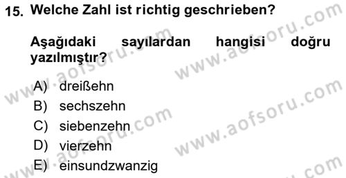 Almanca 1 Dersi 2024 - 2025 Yılı (Vize) Ara Sınav Soruları 15. Soru