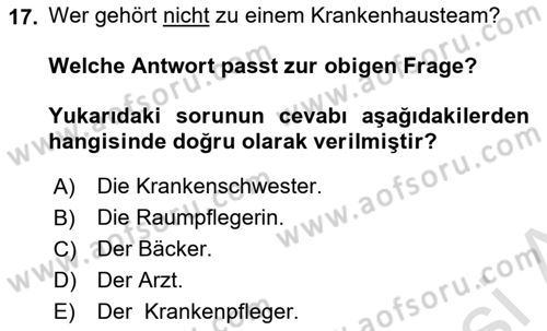 Almanca 1 Dersi 2024 - 2025 Yılı (Vize) Ara Sınav Soruları 17. Soru