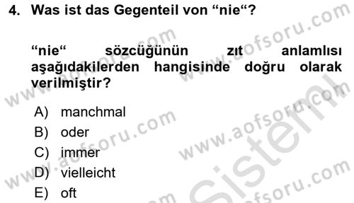 Almanca 1 Dersi 2024 - 2025 Yılı (Vize) Ara Sınav Soruları 4. Soru