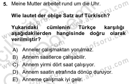 Almanca 1 Dersi 2024 - 2025 Yılı (Vize) Ara Sınav Soruları 5. Soru