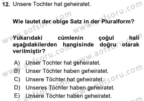 Almanca 1 Dersi Yaz Okulu Sınavı Deneme Sınav Soruları 12. Soru
