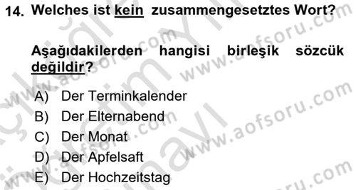 Almanca 1 Dersi 2024 - 2025 Yılı Yaz Okulu Sınav Soruları 14. Soru