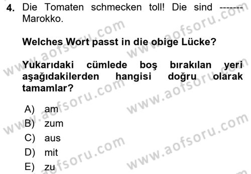 Almanca 1 Dersi Yaz Okulu Sınavı Deneme Sınav Soruları 4. Soru