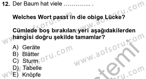 Almanca 2 Dersi 2012 - 2013 Yılı (Final) Dönem Sonu Sınav Soruları 12. Soru