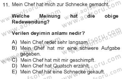 Almanca 2 Dersi 2012 - 2013 Yılı Tek Ders Sınav Soruları 11. Soru
