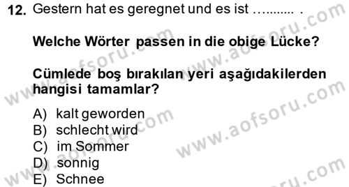Almanca 2 Dersi 2014 - 2015 Yılı Tek Ders Sınav Soruları 12. Soru