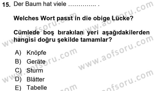 Almanca 2 Dersi 2015 - 2016 Yılı Tek Ders Sınav Soruları 15. Soru