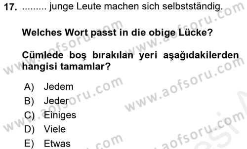 Almanca 2 Dersi 2015 - 2016 Yılı Tek Ders Sınav Soruları 17. Soru