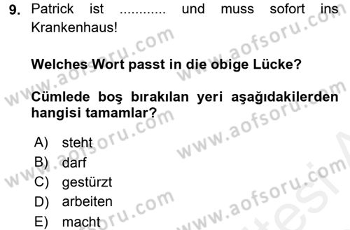 Almanca 2 Dersi 2015 - 2016 Yılı Tek Ders Sınav Soruları 9. Soru