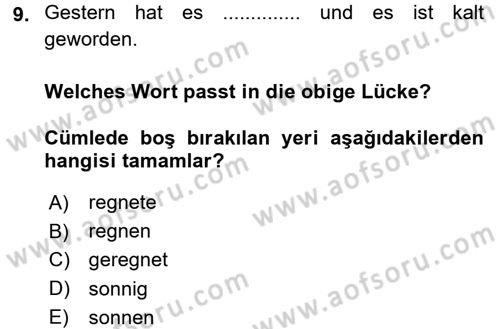 Almanca 2 Dersi 2016 - 2017 Yılı 3 Ders Sınav Soruları 9. Soru