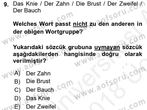 Almanca 2 Dersi 2017 - 2018 Yılı 3 Ders Sınav Soruları 9. Soru