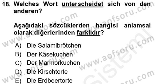 Almanca 2 Dersi 2017 - 2018 Yılı (Vize) Ara Sınav Soruları 18. Soru